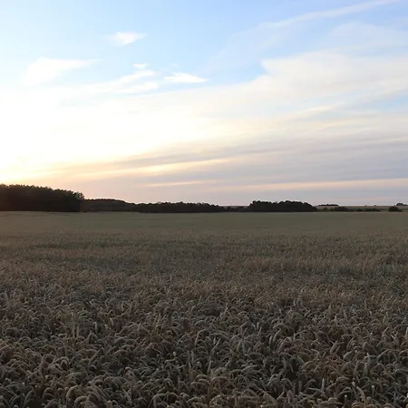 Holiday home La Grange Aux Tommies - Pays Du Coquelicot