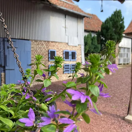 Ferienhaus La Grange Aux Tommies-pays Du Coquelicot-somme Battlefields *